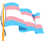 trans-flag